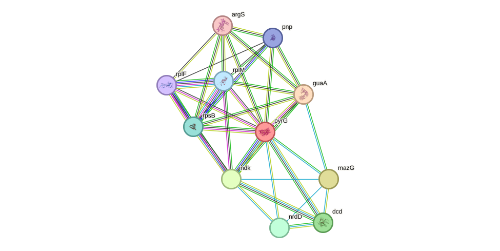STRING protein interaction network