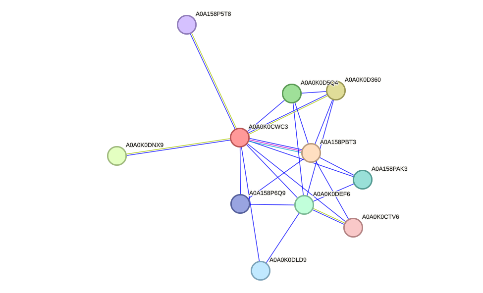 STRING protein interaction network