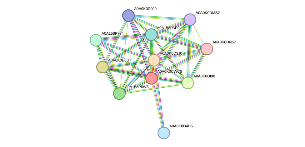 STRING protein interaction network