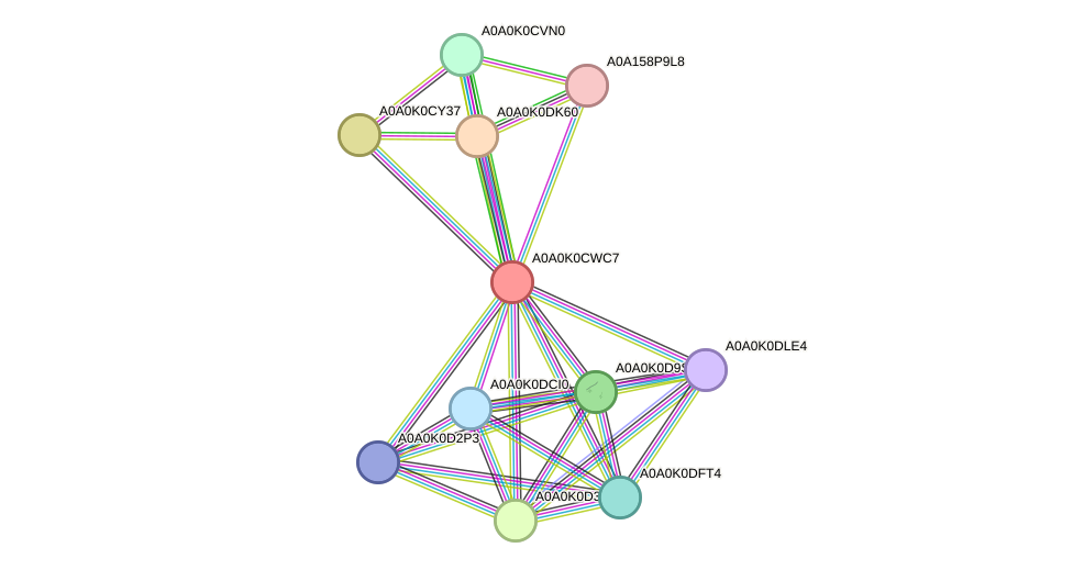 STRING protein interaction network