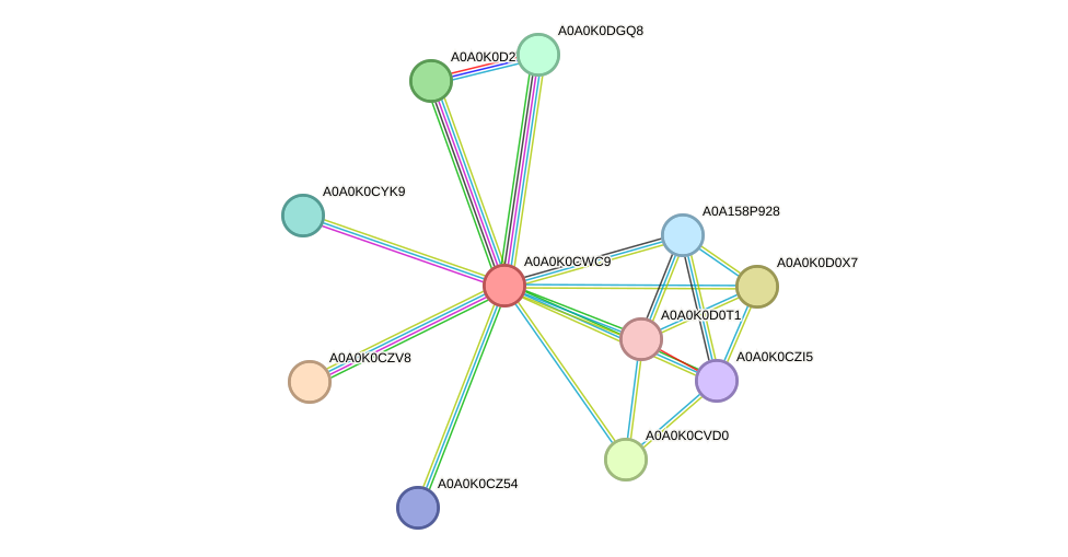 STRING protein interaction network