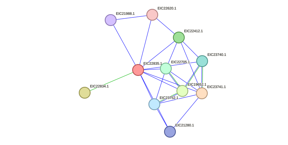 STRING protein interaction network