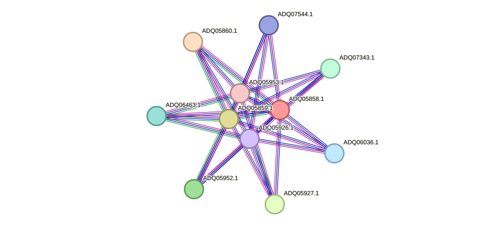 STRING protein interaction network