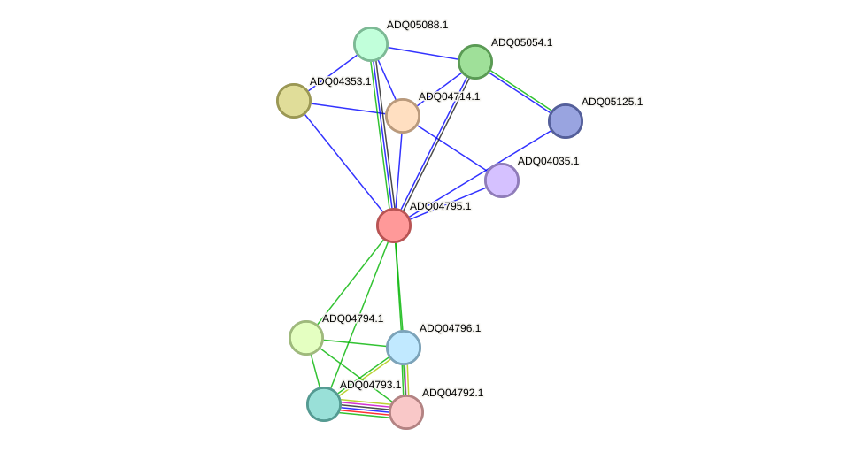 STRING protein interaction network