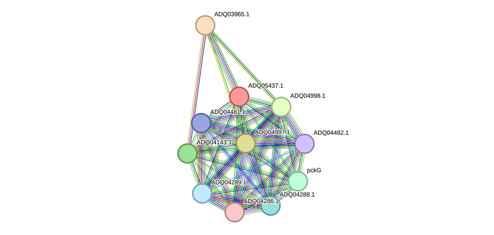 STRING protein interaction network