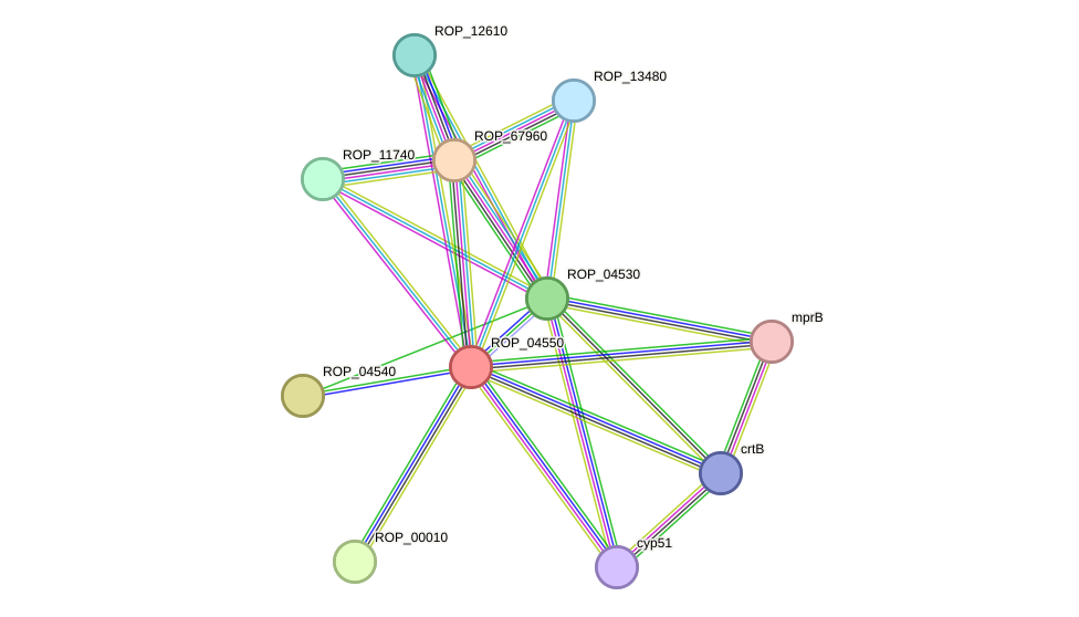 STRING protein interaction network