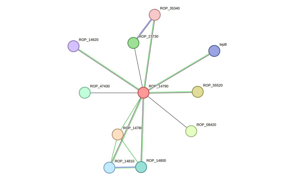 STRING protein interaction network