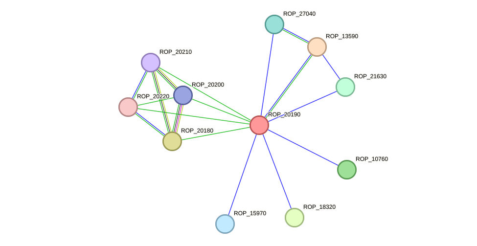 STRING protein interaction network