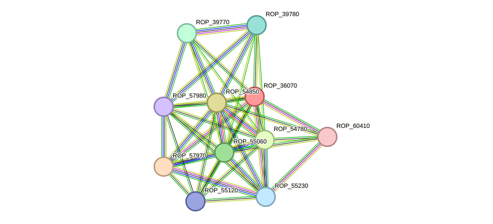 STRING protein interaction network