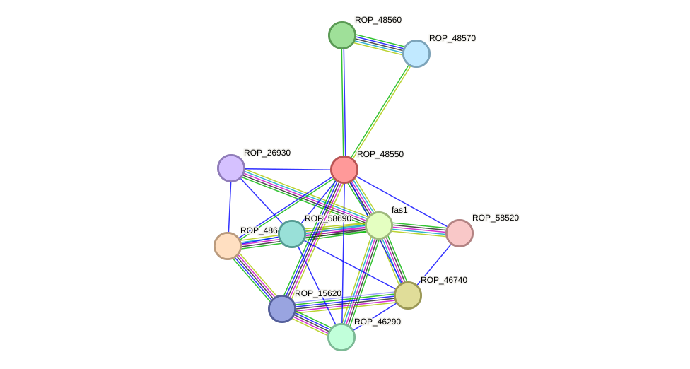 STRING protein interaction network