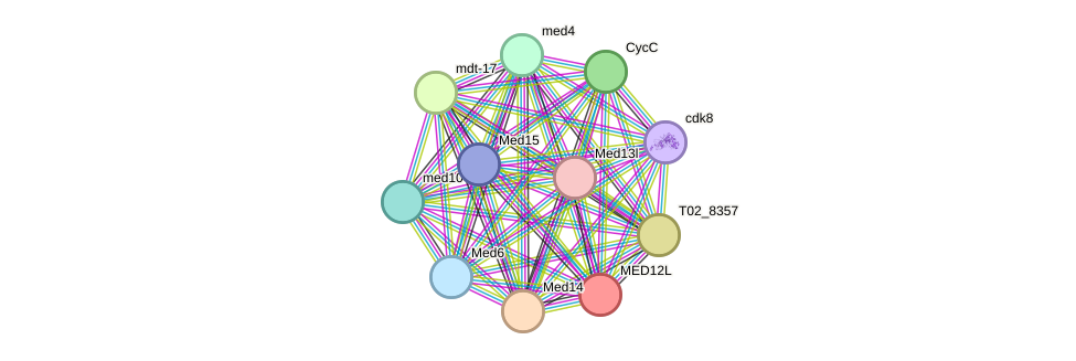 STRING protein interaction network