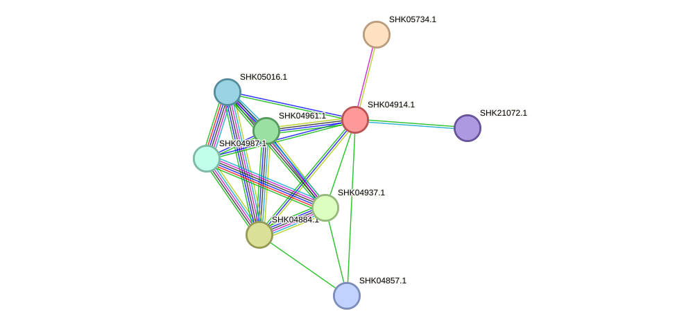 STRING protein interaction network