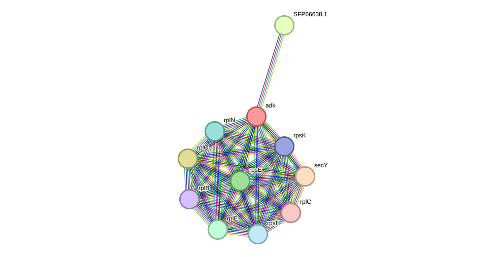 STRING protein interaction network