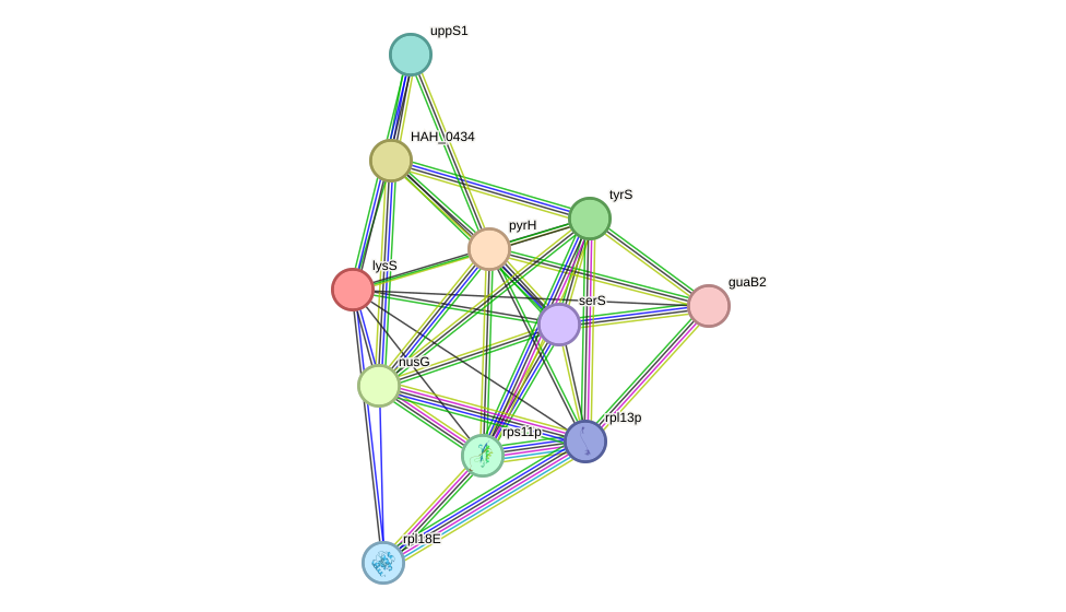 STRING protein interaction network