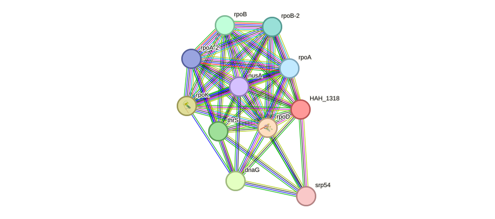 STRING protein interaction network