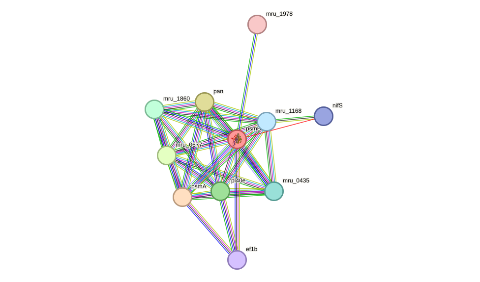 STRING protein interaction network