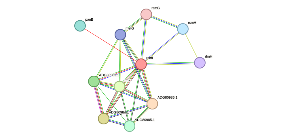 STRING protein interaction network