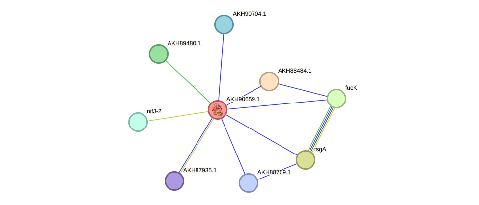 STRING protein interaction network