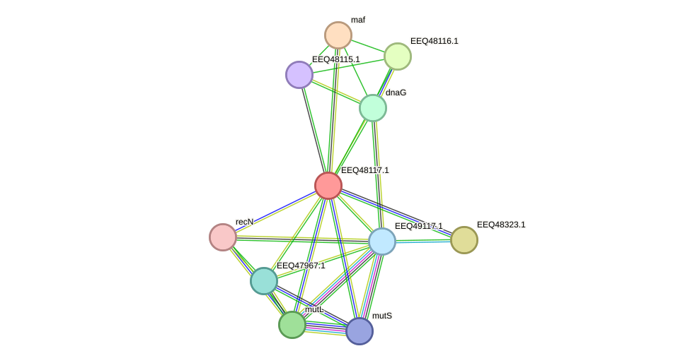STRING protein interaction network