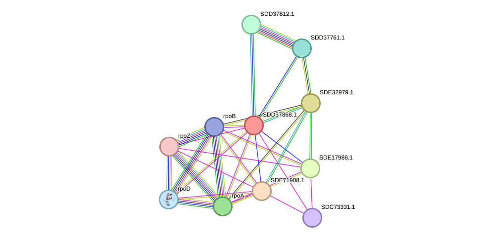 STRING protein interaction network