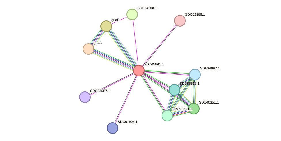 STRING protein interaction network