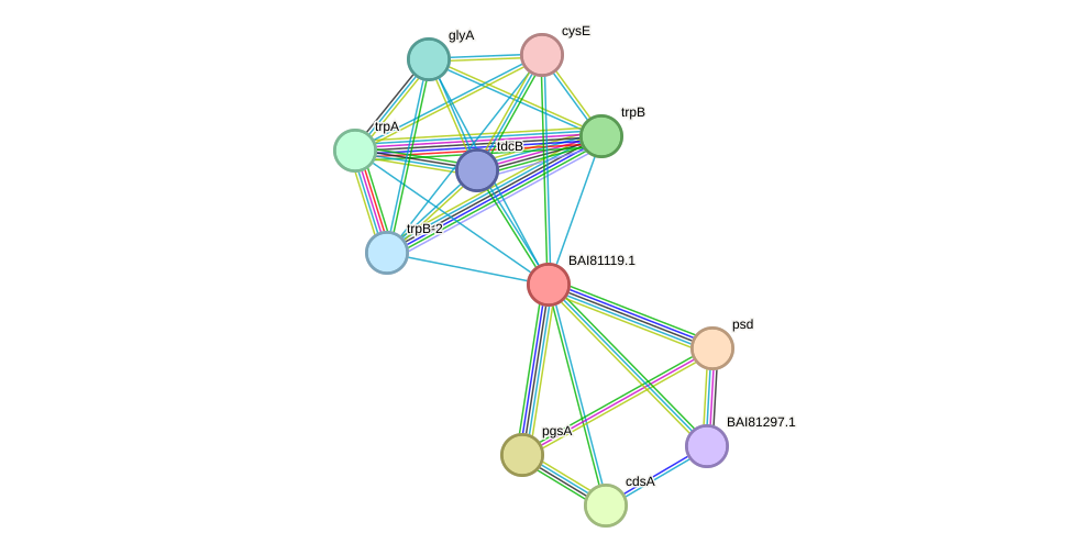 STRING protein interaction network