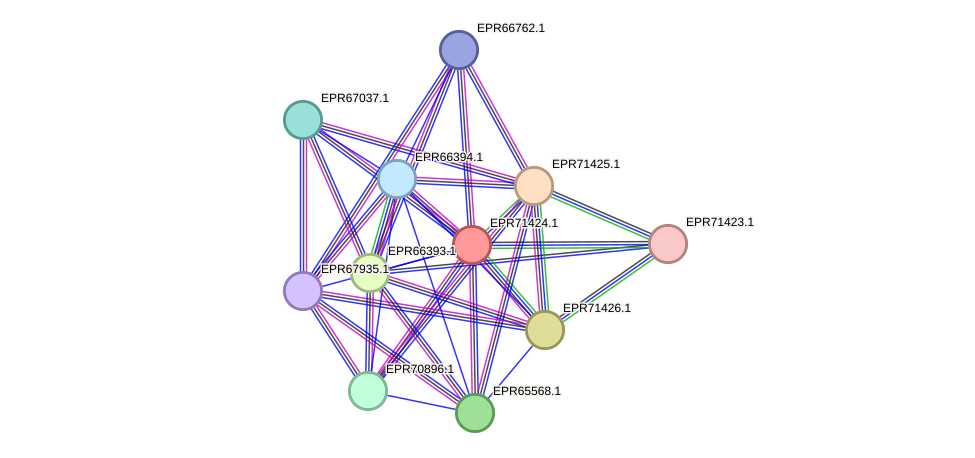 STRING protein interaction network