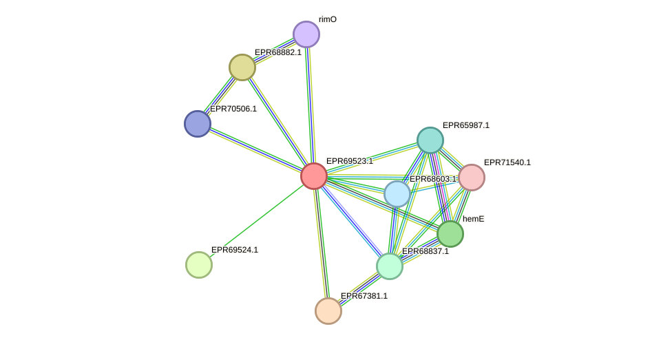 STRING protein interaction network