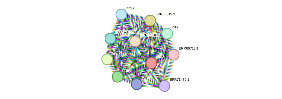 STRING protein interaction network