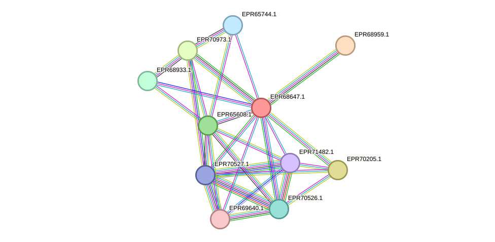 STRING protein interaction network