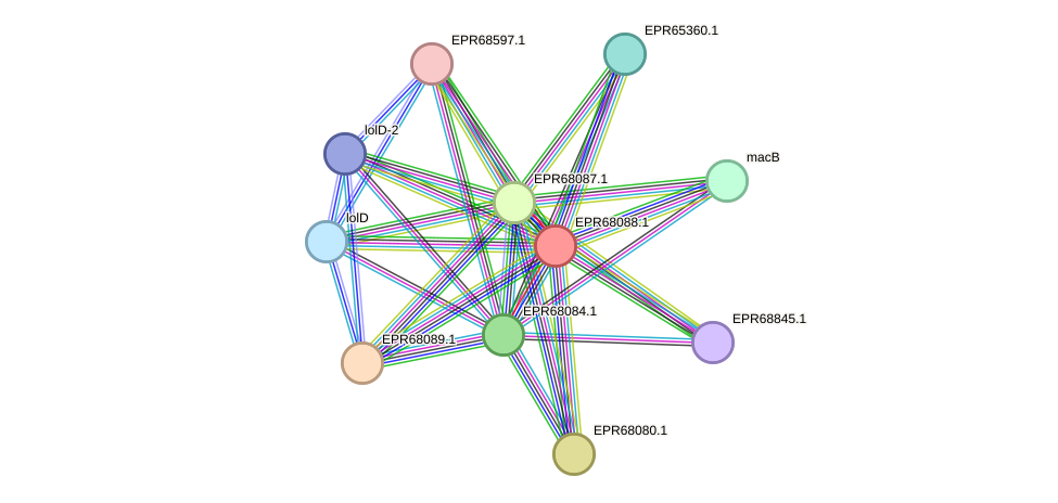 STRING protein interaction network