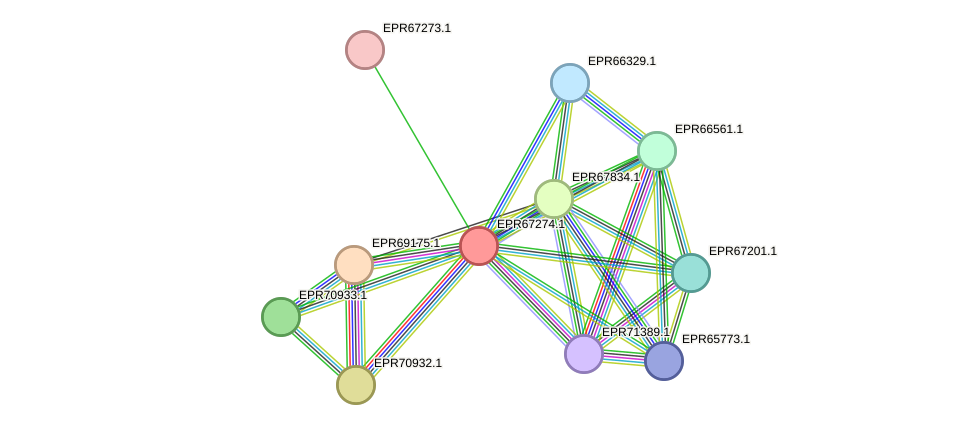 STRING protein interaction network