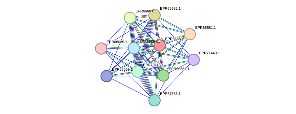 STRING protein interaction network