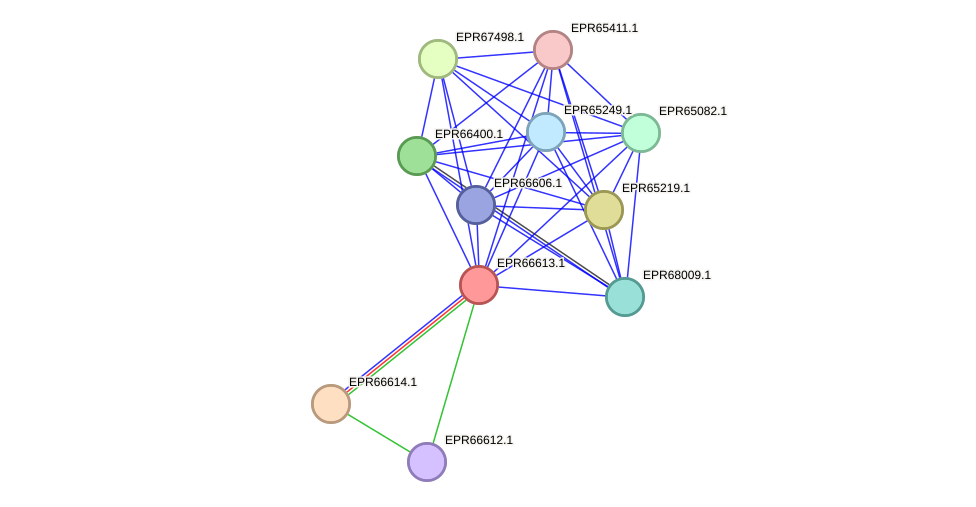 STRING protein interaction network