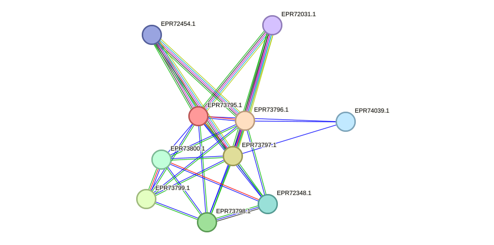 STRING protein interaction network