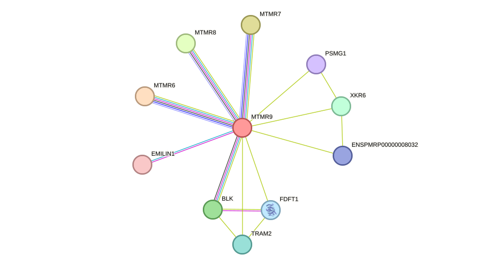 STRING protein interaction network