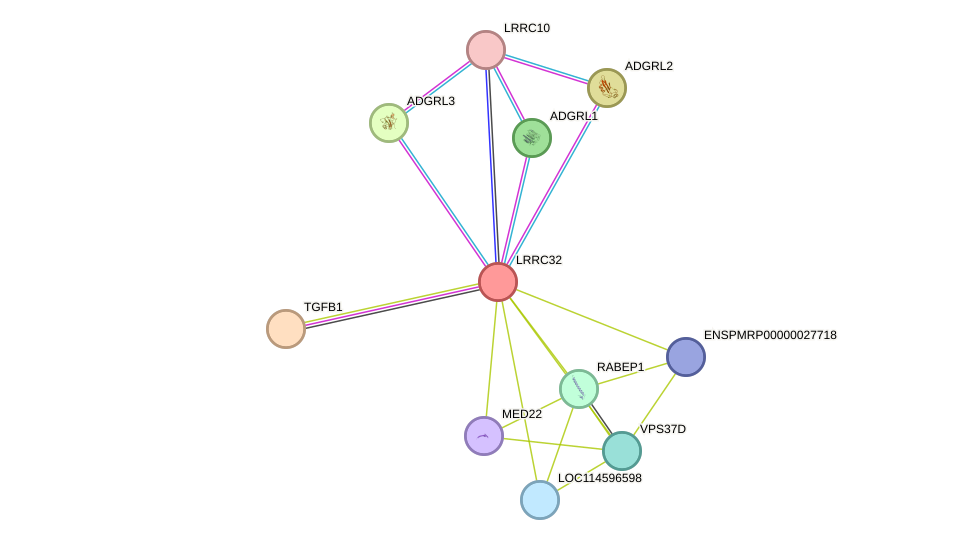 STRING protein interaction network