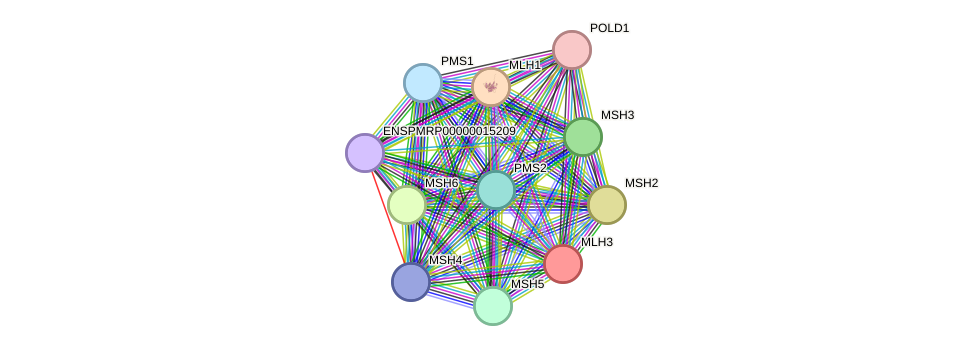 STRING protein interaction network