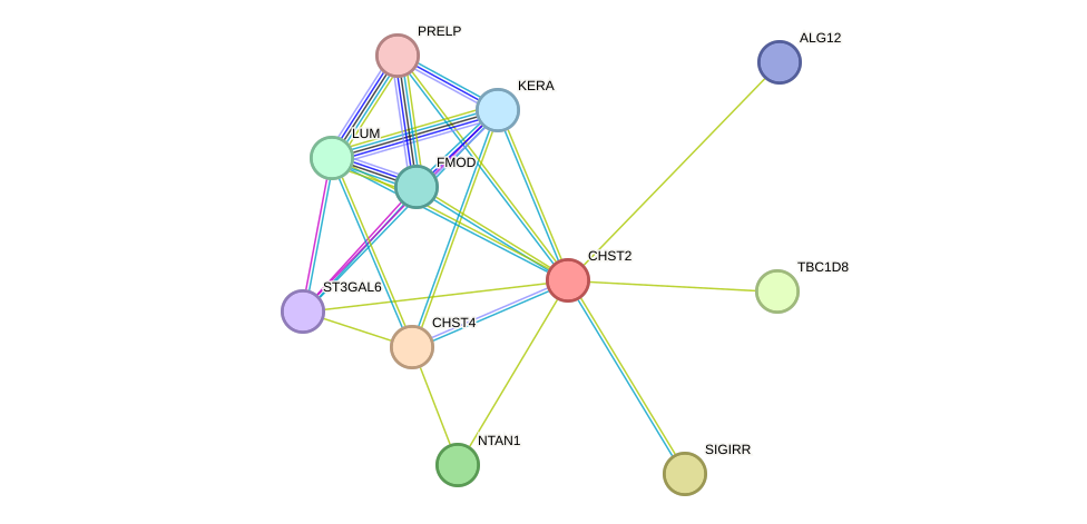 STRING protein interaction network