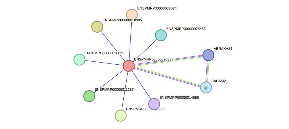 STRING protein interaction network