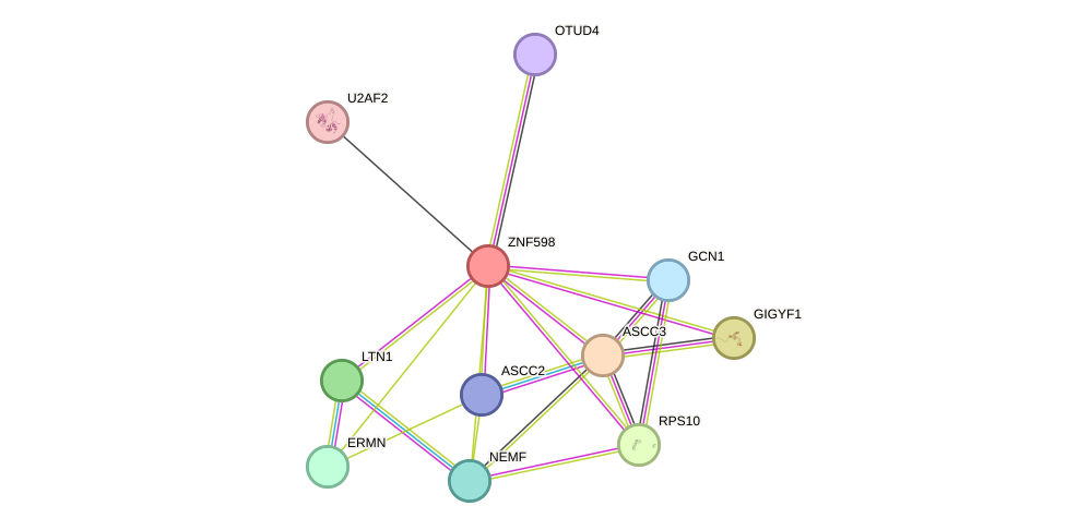 STRING protein interaction network