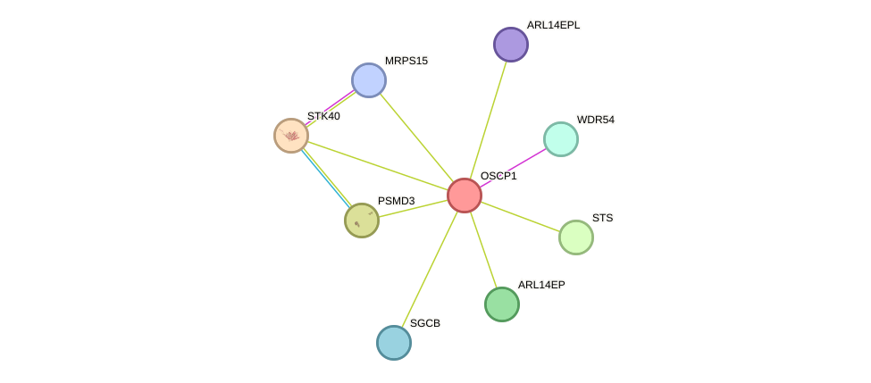 STRING protein interaction network