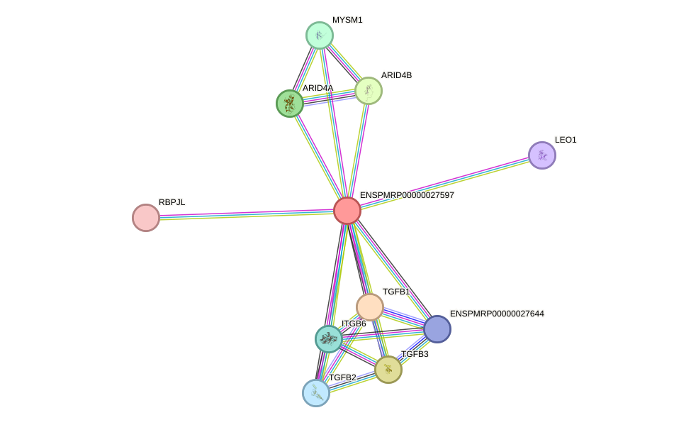 STRING protein interaction network