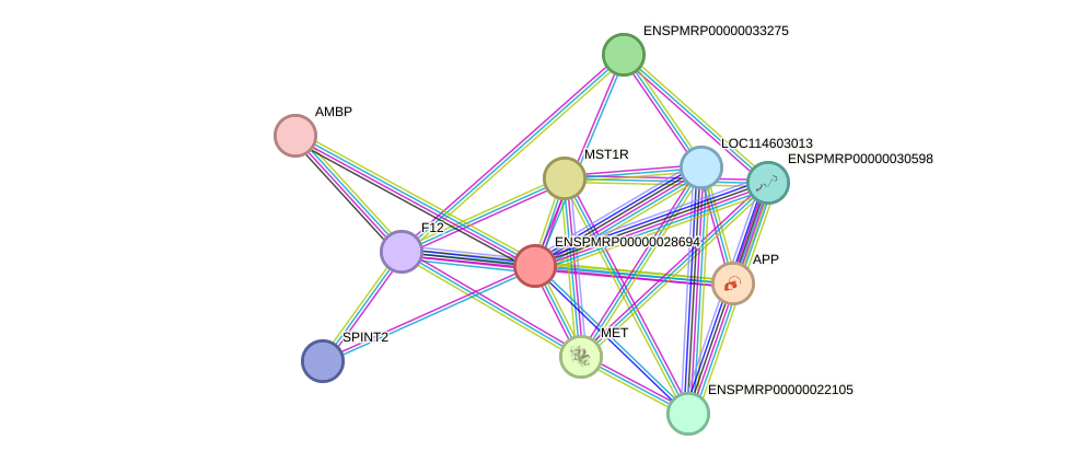 STRING protein interaction network