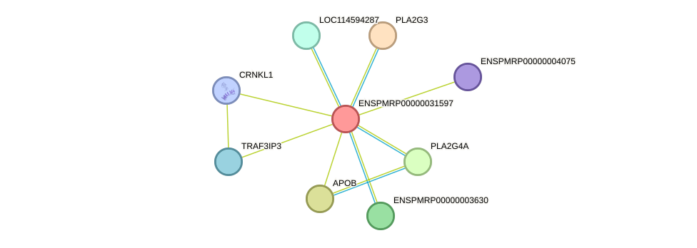 STRING protein interaction network