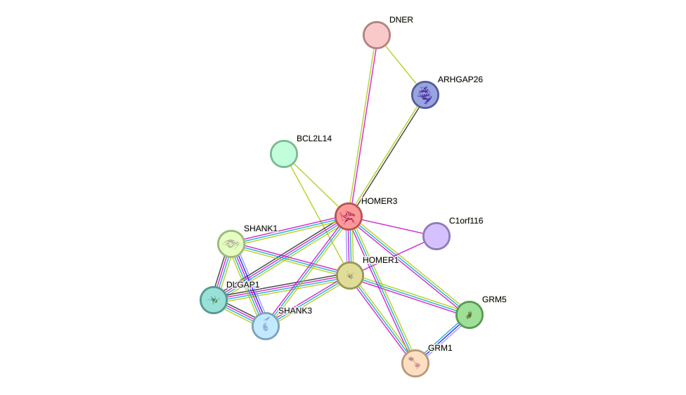 STRING protein interaction network