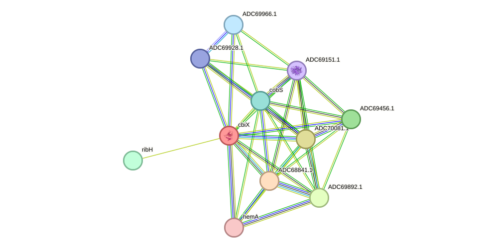 STRING protein interaction network