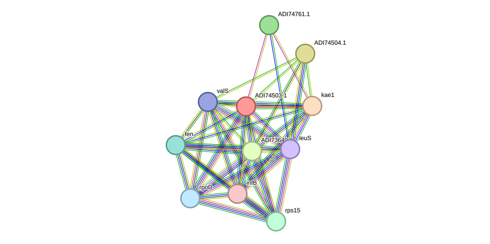 STRING protein interaction network