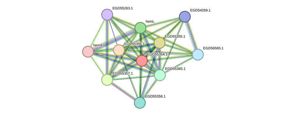 STRING protein interaction network