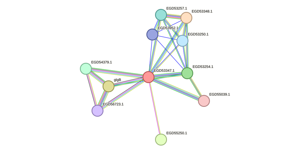 STRING protein interaction network